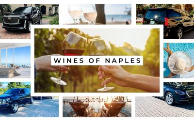 Exploring the Wines of Naples: A Vineyard Hopping Guide